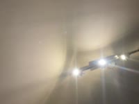 A little playful and shy, I wouldn